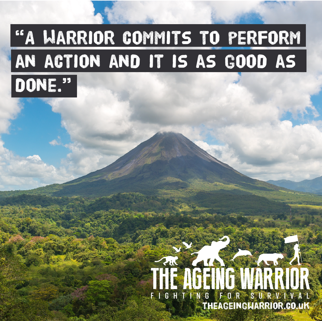 Warrior Code 2
