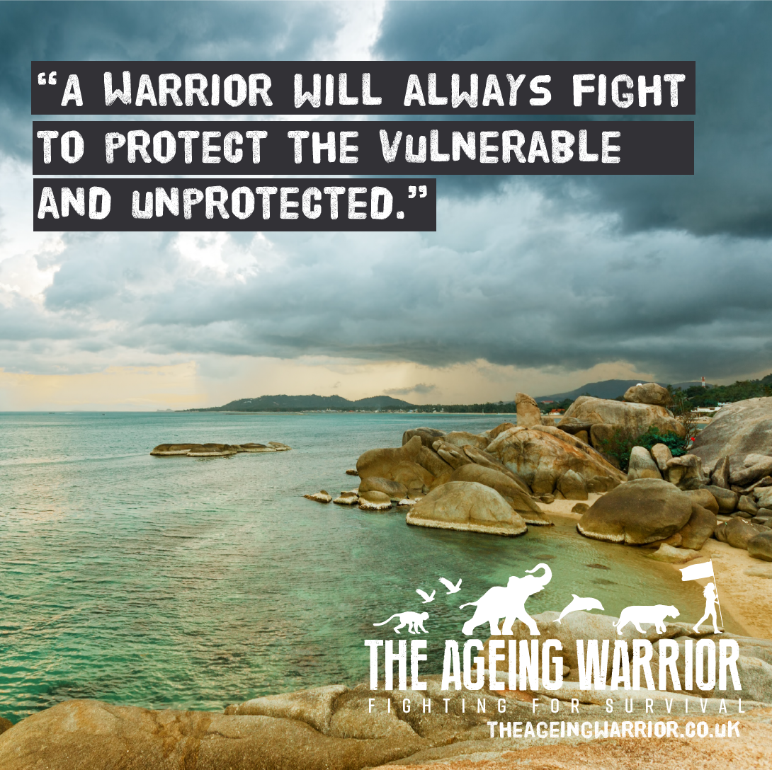 Warrior Code 3 Island Heat Sauces Garlic