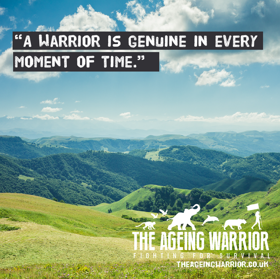 Warrior Code 4