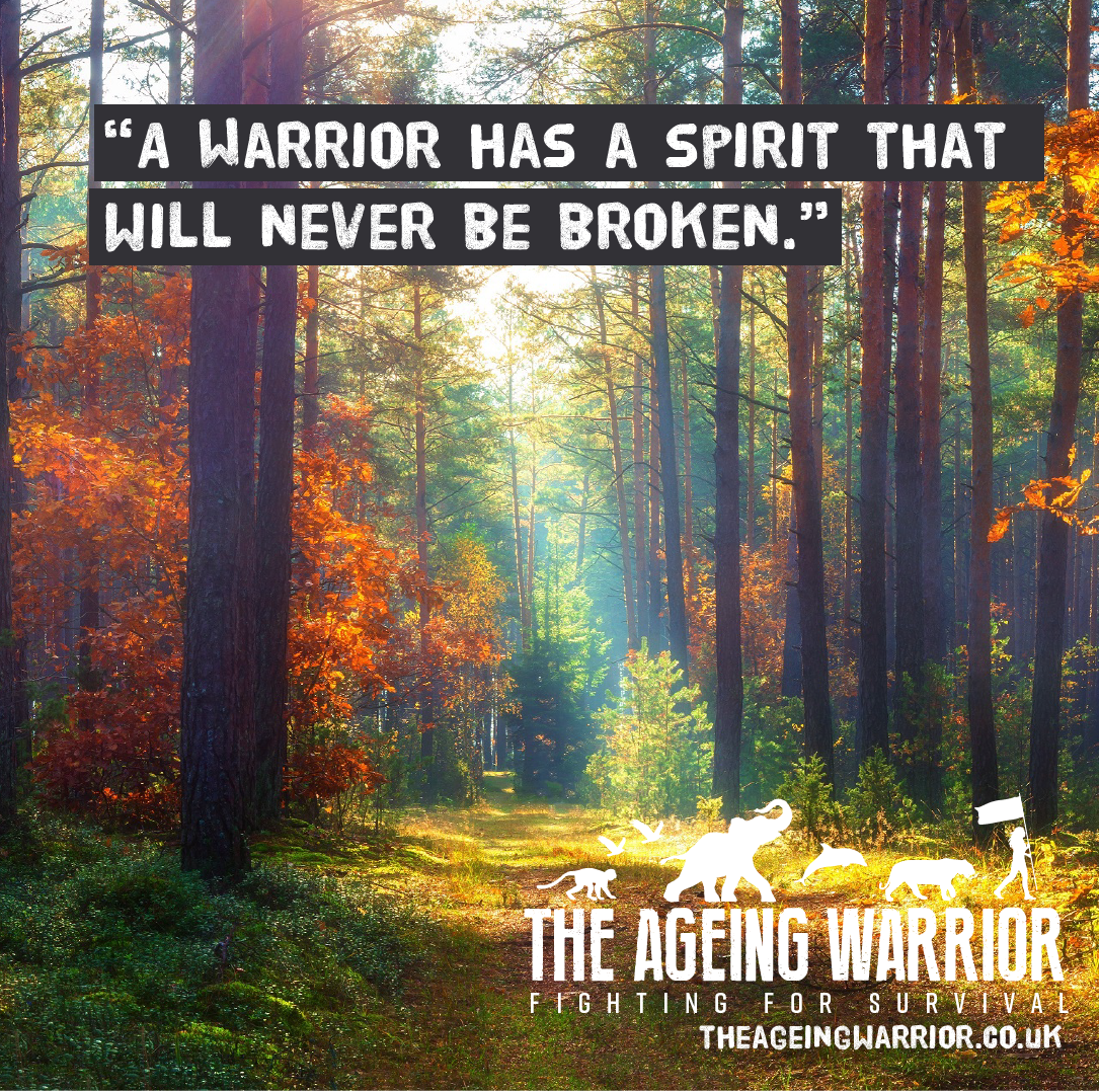 Warrior Code 5