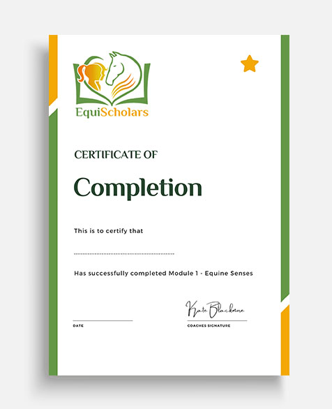 EquiScholars-Certificate-of-Completion-Module-1